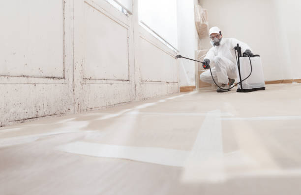 24/7 Emergency Mold Cleanup experts in Easton, PA