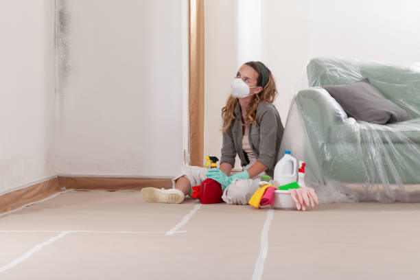 Reliable Mold Cleanup contractor in Easton, PA by Cheap Mold Removal